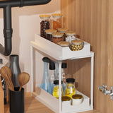 Multi-functional Double-layer Pull-out Storage Rack